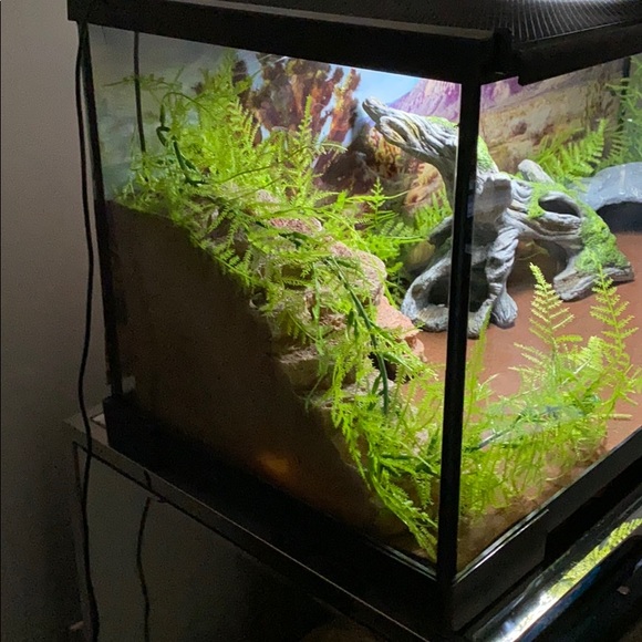 Reptile (leopard Gecko) Tank - Picture 2 of 6